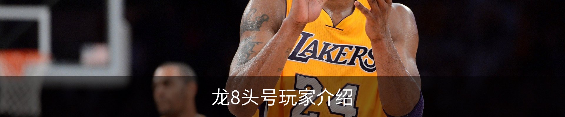 龙8头号玩家介绍